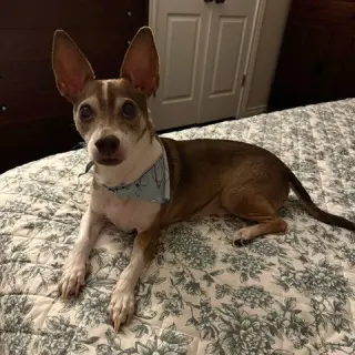 Yogi Berra