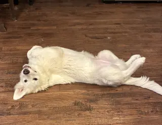 Max