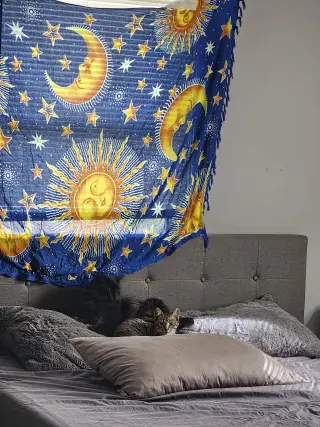 Cleo