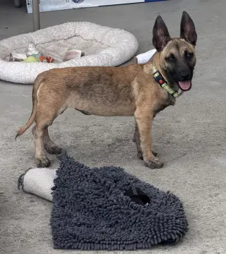 Mali
