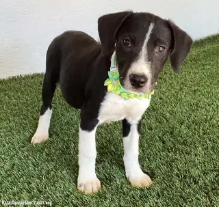 Makayla