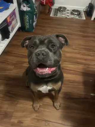 Zeus