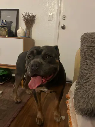 Zeus