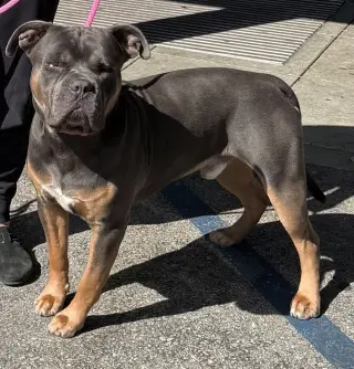 Zeus