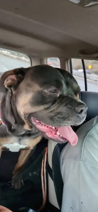 Zeus