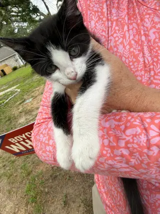 Max (Maxine)