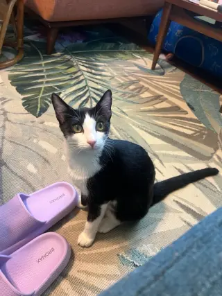 Max (Maxine)