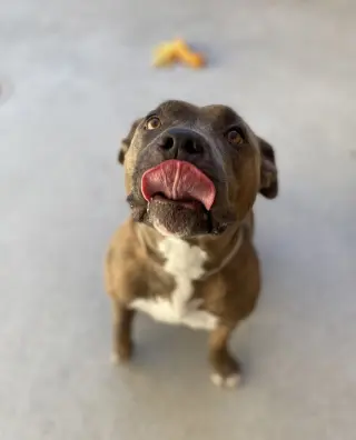 Lola