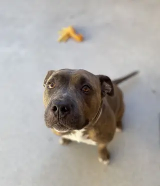 Lola