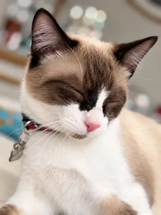 Charlie