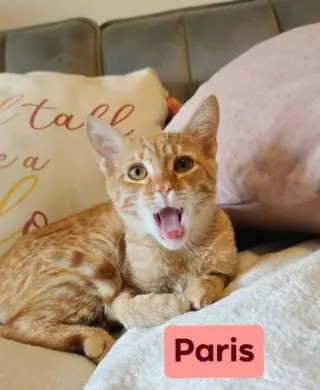 Paris