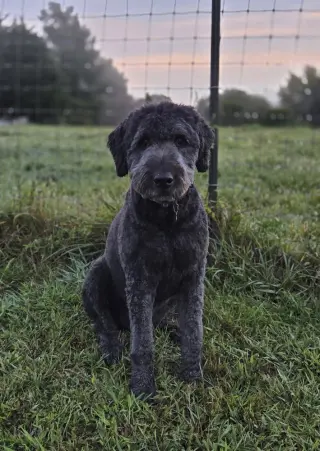 Ruby
