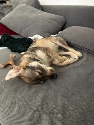 Rylo