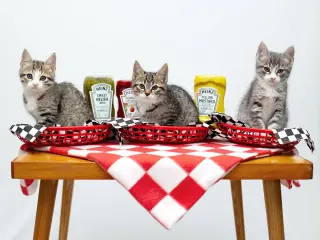 Relish