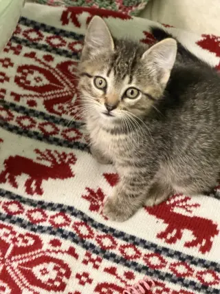 Leo