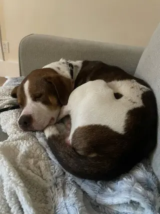 Pete
