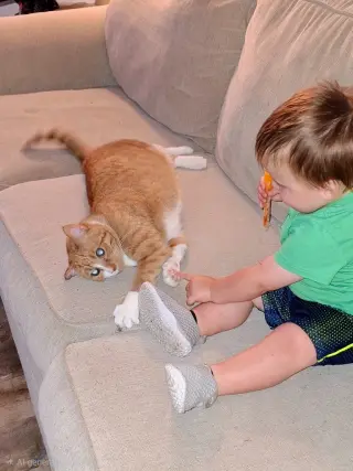Gus