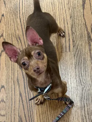 Benny
