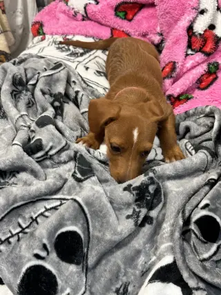Lucy