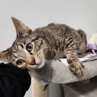 Ernie