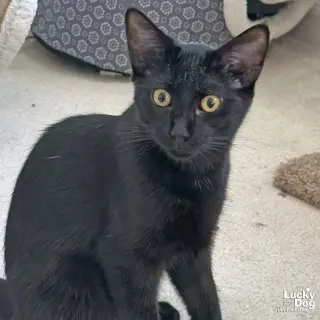 Alvaro
