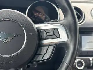 Ford Mustang 2018 EcoBoost 2dr Fastback