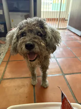 Edith