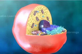 Clases de Bioquimica y Quimica