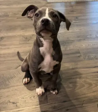 Nickel