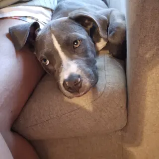 Nickel