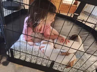 Cleo, a small 1 year old female
