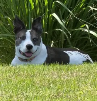 Mia