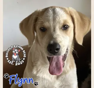 Flynn