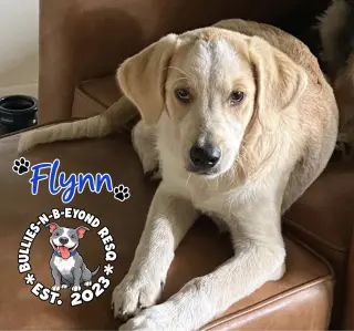 Flynn