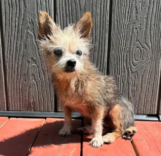 Hazel #spunky-lil-girl