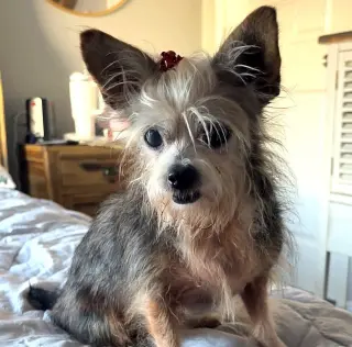Hazel #spunky-lil-girl