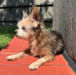 Hazel #spunky-lil-girl