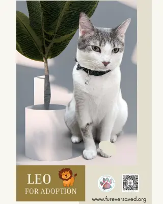 Leo