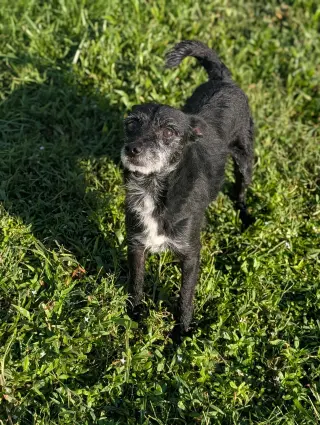 Luke- little Luke, big personality