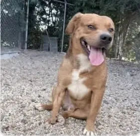 Slugger- looking for his second chance