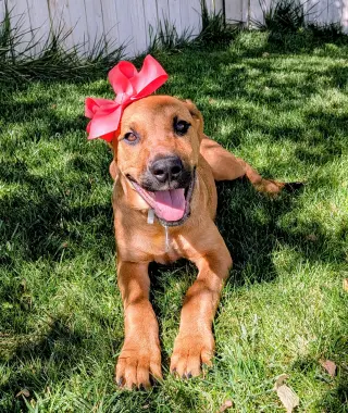 Artie Marie