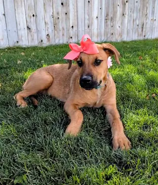 Artie Marie