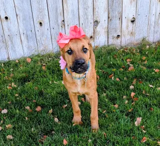 Artie Marie