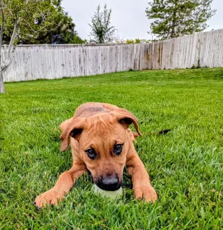 Artie Marie