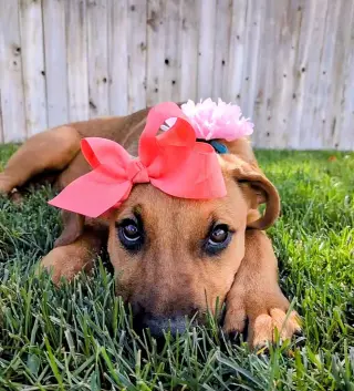 Artie Marie