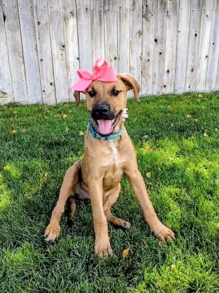 Artie Marie