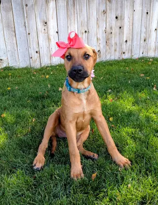 Artie Marie