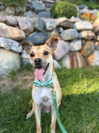 Blake-in a foster home