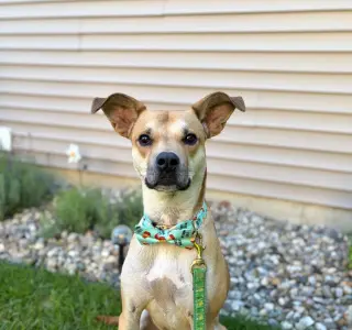 Blake-in a foster home