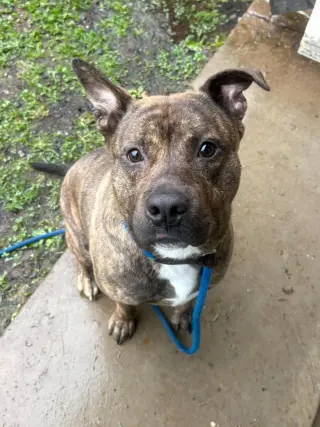 Leroy